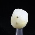 Cryolite Tumblestone ~25mm