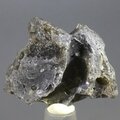Darwin Glass Healing Crystal ~26mm