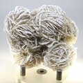 Desert Rose ~6.5cm