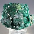 Dioptase Mineral Specimen (DRC) ~50mm