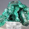 Dioptase Mineral Specimen (DRC) ~52mm
