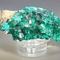 Dioptase Mineral Specimen (DRC) ~70mm