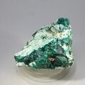 Dioptase Mineral Specimen (Namibia) ~45mm