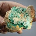 Dioptase Mineral Specimen (Namibia) ~90mm