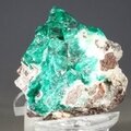 Dioptase Mineral Specimen (Tsumeb) ~32mm