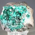 Dioptase Mineral Specimen (Tsumeb) ~42mm