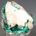 Dioptase Mineral Specimen (Tsumeb) ~45mm