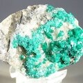 Dioptase Mineral Specimen (Tsumeb) ~50mm