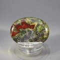 Dragons Blood Thumbstone(Extra Grade) ~40x30mm