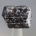 Dravite (Brown Tourmaline) Healing Crystal (India) ~25mm