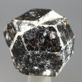 Dravite (Brown Tourmaline) Healing Crystal (India) ~25mm