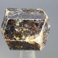 Dravite (Brown Tourmaline) Healing Crystal (India) ~27mm