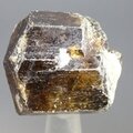 Dravite (Brown Tourmaline) Healing Crystal (India) ~28mm