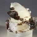 Elmwood Calcite Mineral Specimen ~48mm