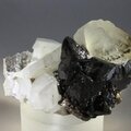 Elmwood Calcite Mineral Specimen ~56mm