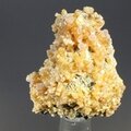 Endlichite Mineral Specimen (Morocco) ~28mm