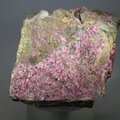 Erythrite, Mount Cobalt, Australia ~75mm