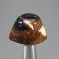 Evil Eye Agate Tumblestone ~27mm