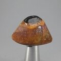 Evil Eye Agate Tumblestone ~30mm