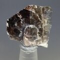 Ferro-Axinite Healing Crystal ~25mm