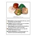 Fertility Crystal Healing Pack & Reference Card