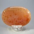 Fire Agate Palmstone (Extra Grade) ~70x50mm