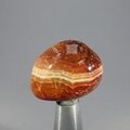 Fire Agate Tumblestone ~28mm