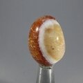 Fire Agate Tumblestone ~30mm
