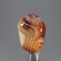 Fire Agate Tumblestone ~32mm