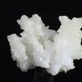 Flos Ferri Aragonite Healing Mineral ~35mm