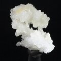 Flos Ferri Aragonite Healing Mineral ~36mm