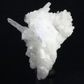 Flos Ferri Aragonite Healing Mineral ~38mm