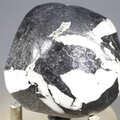 Flower Stone ~46mm