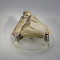 Fossilised Megalodon Tooth ~47mm