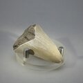 Fossilised Megalodon Tooth ~47mm