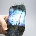 Freestanding Labradorite (Part Polished) ~138x74mm