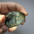 Freestanding Labradorite Polished Stone ~41 x 54mm
