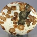 Garnet in Limestone Polished Stone ~45mm
