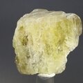 Gold Danburite Healing Crystal ~35mm