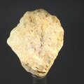 Gold Danburite Healing Crystal ~37mm