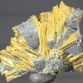 Golden Rutile with Hematite Healing Mineral ~27mm