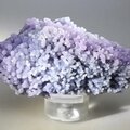 Grape Agate Healing Mineral ~84mm