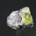 Green Apatite Healing Mineral ~23mm