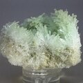 Green Gypsum Crystal Cluster ~55mm