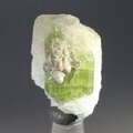 Green Tourmaline Healing Crystal ~27mm