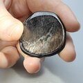 Hypersthene Polished Flat Tumblestone ~37mm