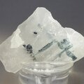 Indicolite (Blue Tourmaline) Quartz Crystal ~18mm