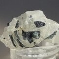 Indicolite (Blue Tourmaline) Quartz Crystal ~35mm