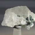 Indicolite (Blue Tourmaline) Quartz Crystal ~42mm