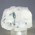 Indicolite (Blue Tourmaline) Quartz Crystal ~48mm